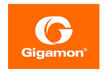 gigamon